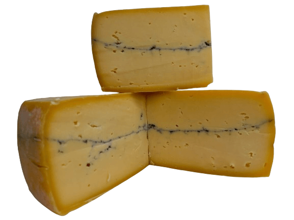 image-e0d22a4470e74a99b2edcbf2ebee2825