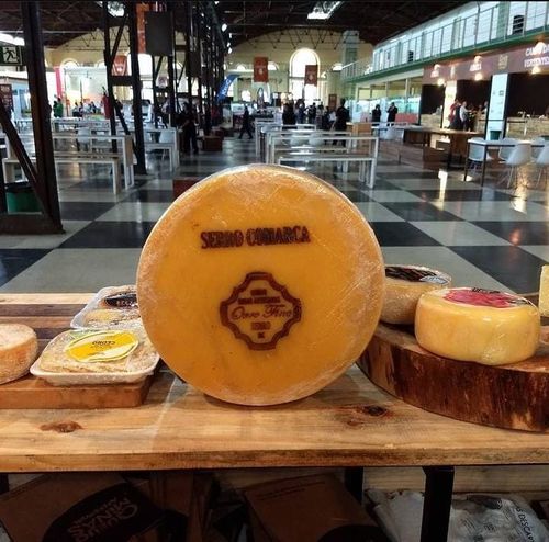 Queijo Minas Artesanal do Serro Maturado 30 a 45 dias - Queijo Ouro Fino - 800g CAMPEÃO