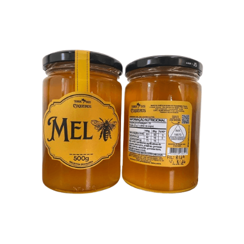 Mel Puro do Sul de Minas - Terra dos Coqueiros - Vidro 500g