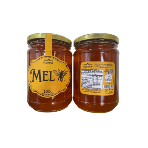 Mel Puro do Sul de Minas -  Terra dos Coqueiros -  Vidro 800g