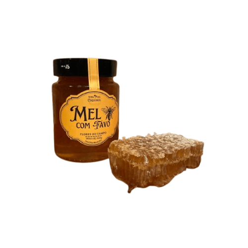 Mel com Favo - Terra dos Coqueiros - Vidro 500g - imagem 1