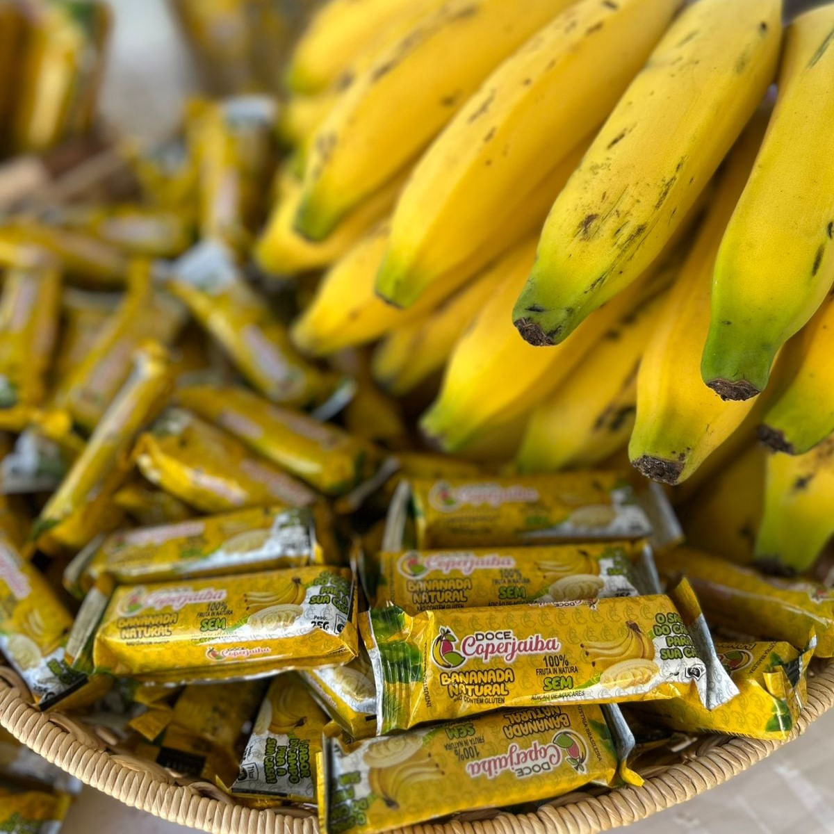 image-277ca6312af64196bd98ce9d802f1d09